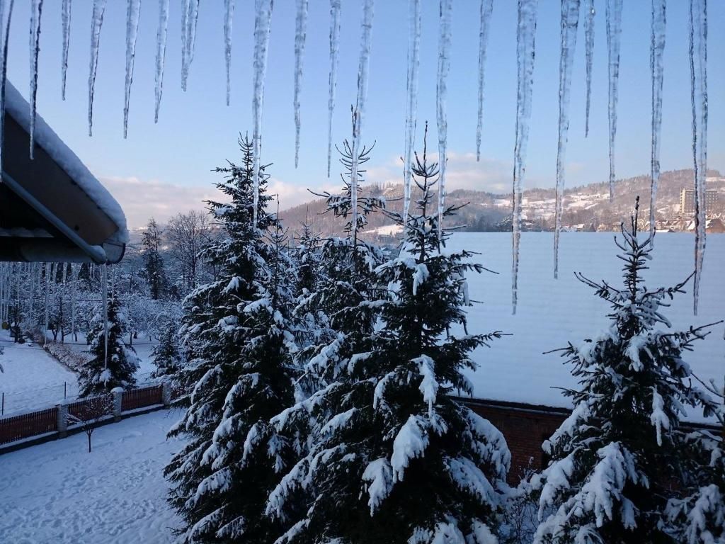 Апартаменты Nad Grajcarkiem Pieniny Шавница