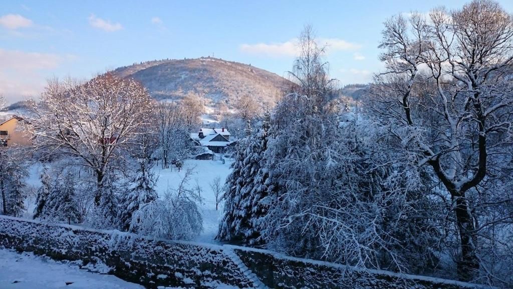 Апартаменты Nad Grajcarkiem Pieniny Шавница