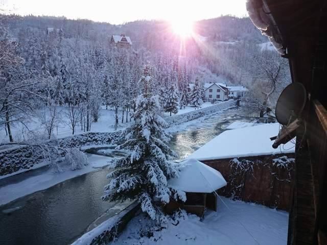 Апартаменты Nad Grajcarkiem Pieniny Шавница