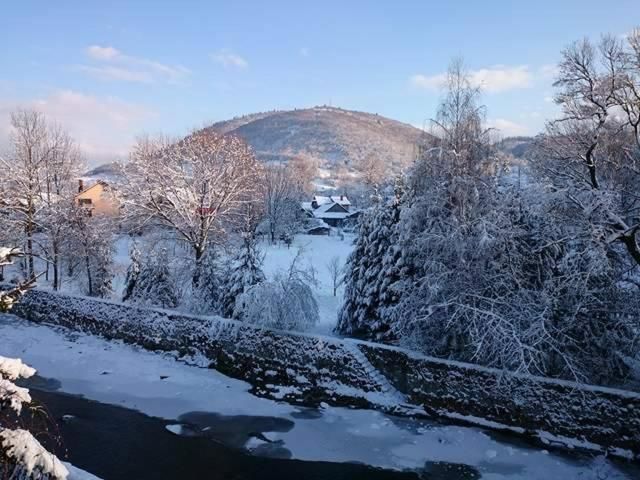 Апартаменты Nad Grajcarkiem Pieniny Шавница